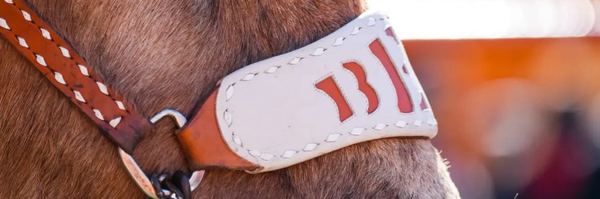 GregWeigert's profile banner image