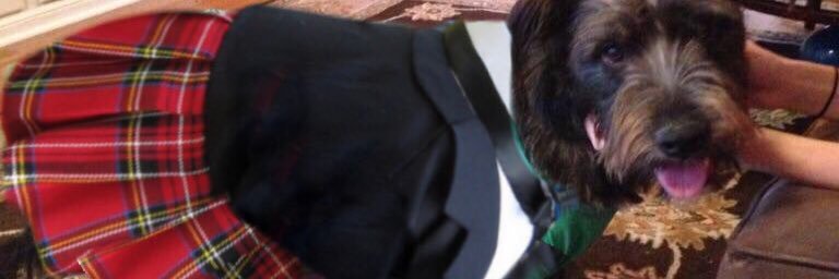 Titus O'Fraser banner