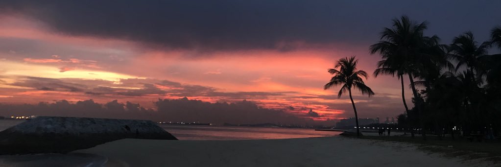 ermweilin's profile banner image