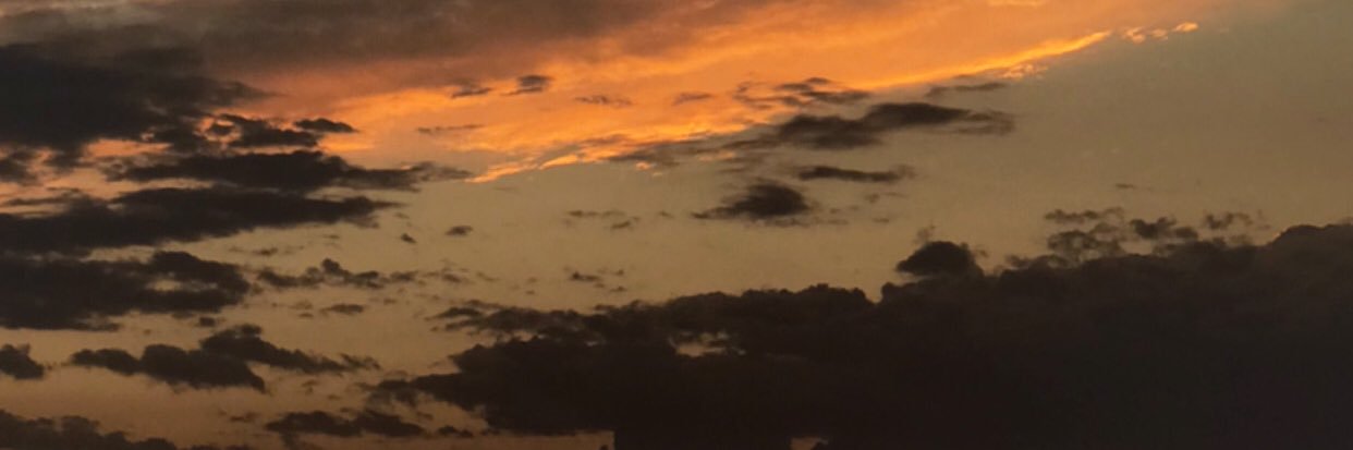 MartiBarontini's profile banner image