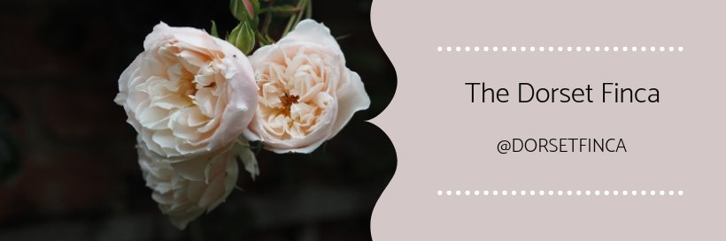 DorsetFinca's profile banner image
