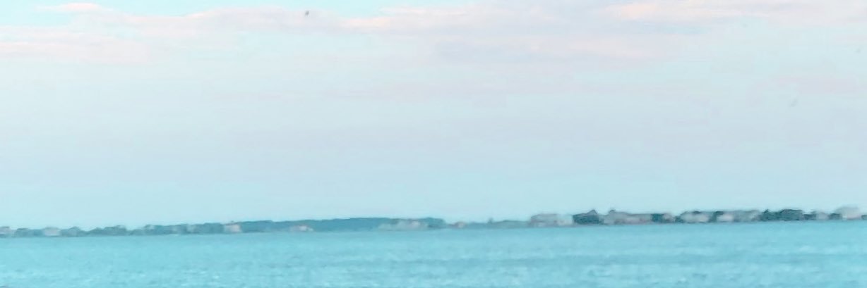 sydneyinge's profile banner image