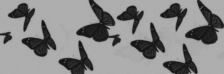 mp_arixs's profile banner image