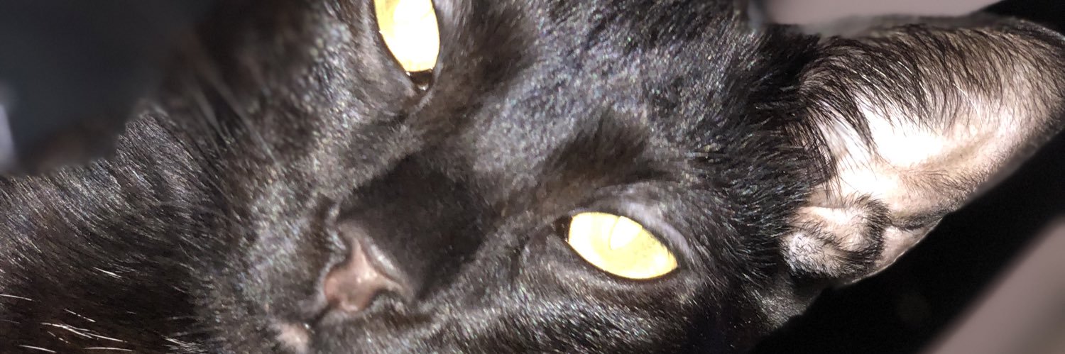Guaxinas's profile banner image
