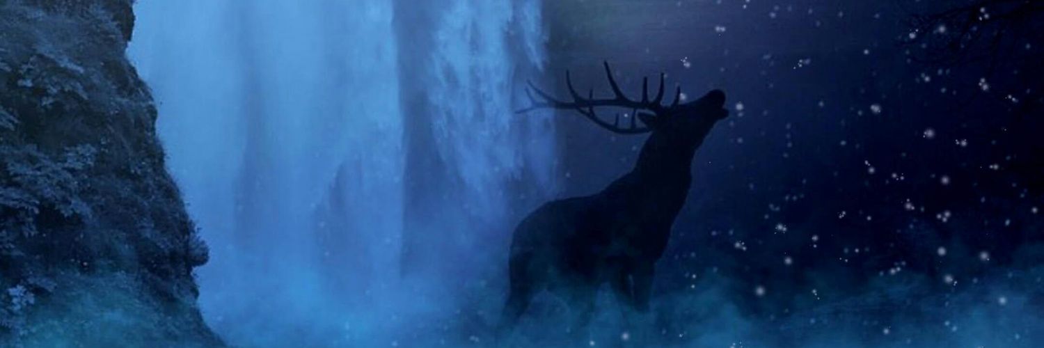 NEIILA1D's profile banner image
