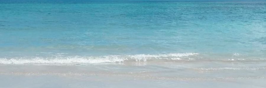 luisapiires's profile banner image