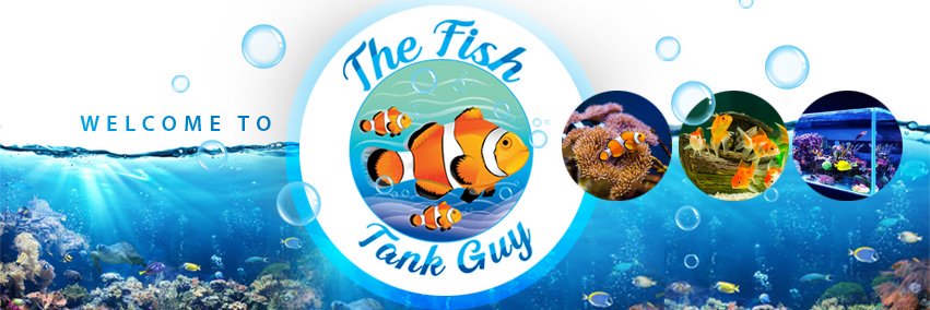 RealFishTankGuy's profile banner image