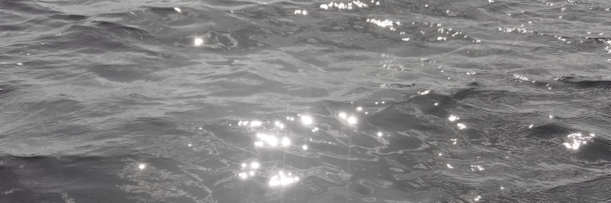 juliette banner