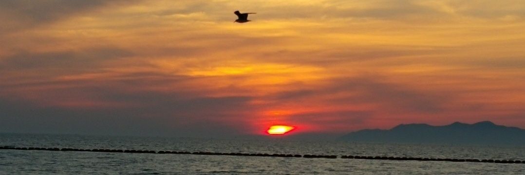 5884_010's profile banner image