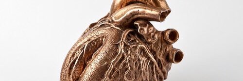MuscleBottom83's profile banner image