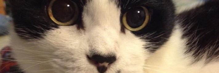 dnpoooon's profile banner image