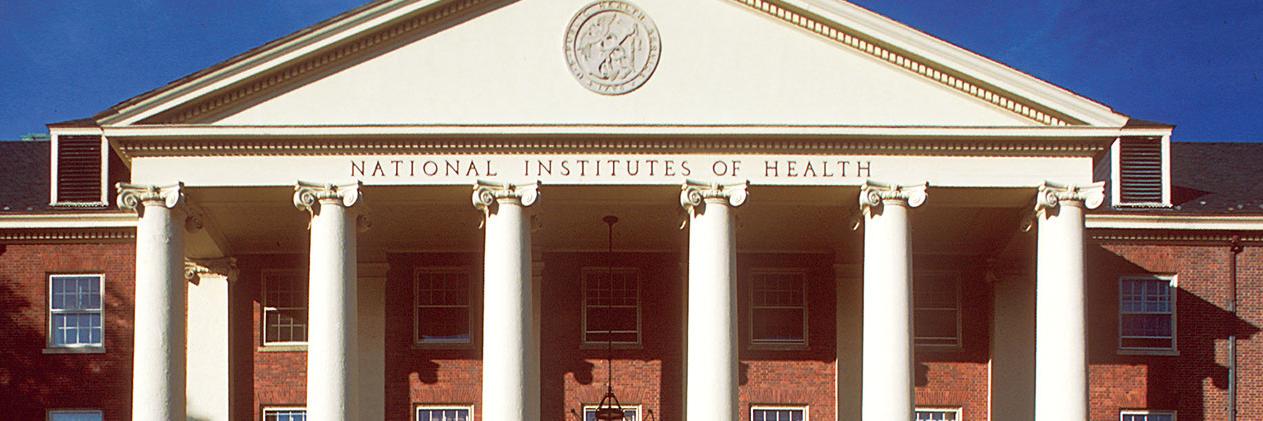 RockTalkingNIH's profile banner image