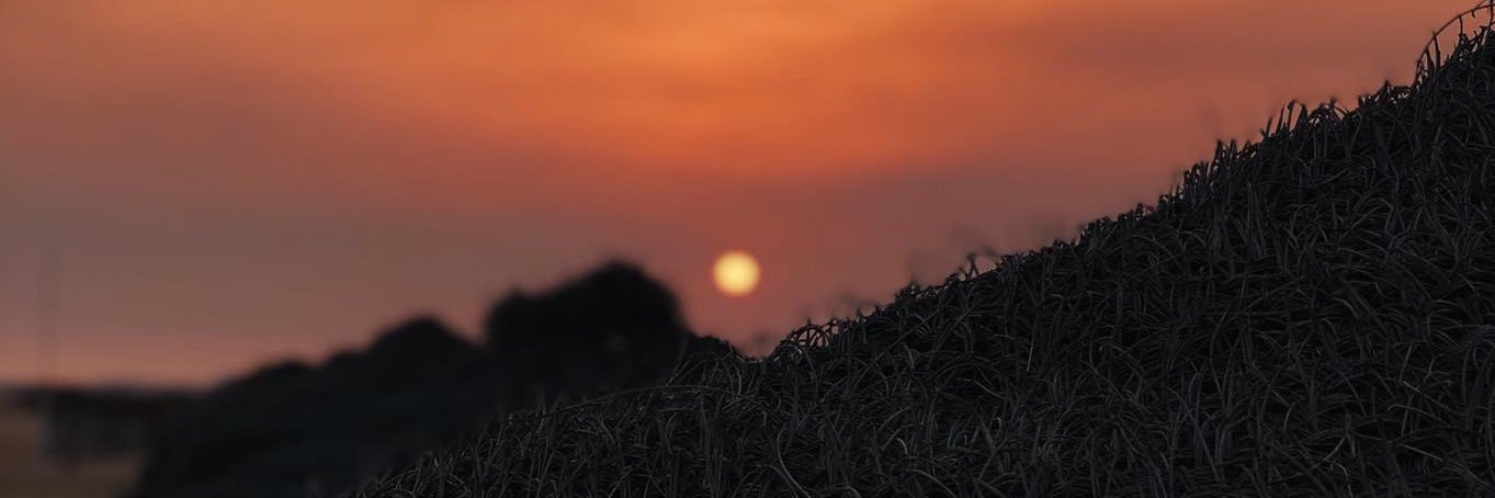 dmelopinto's profile banner image