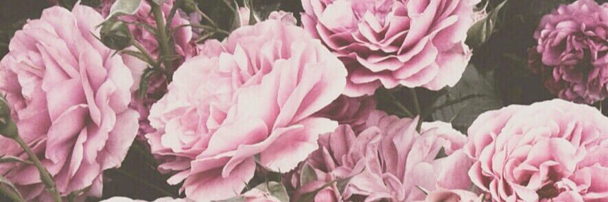 JOO__tag's profile banner image