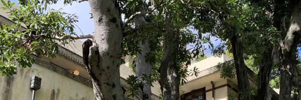 MLinerMain Profile Banner