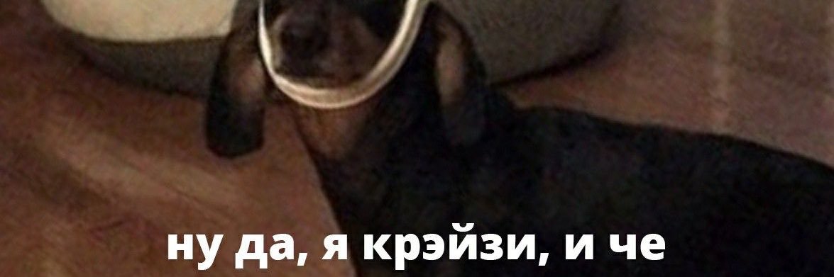 osgarrd's profile banner image