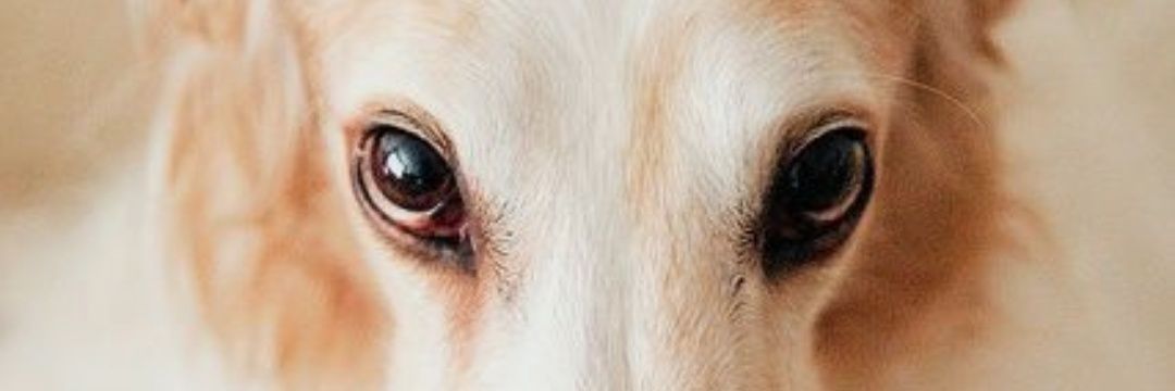 htsm05200520's profile banner image