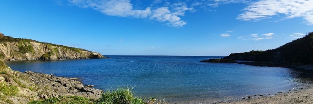 Miss_Fae_'s profile banner image