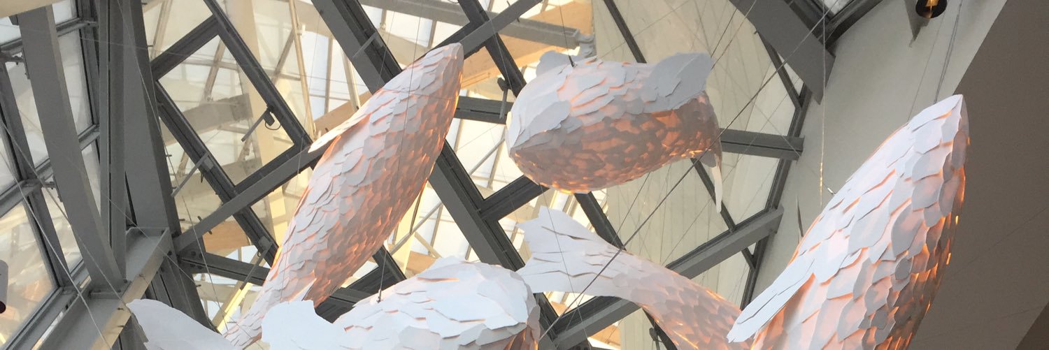 Del_CDG_ORD's profile banner image
