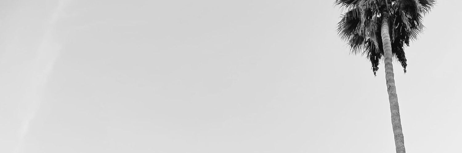 mikroxkosmos's profile banner image