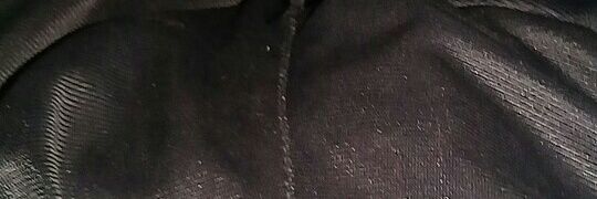 Anubis banner