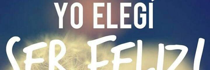 veritopluas's profile banner image