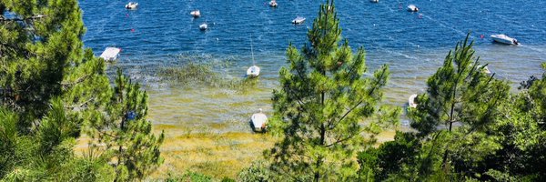 valmente Profile Banner