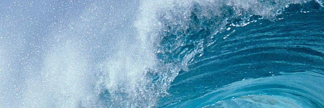 JeniferRubio's profile banner image