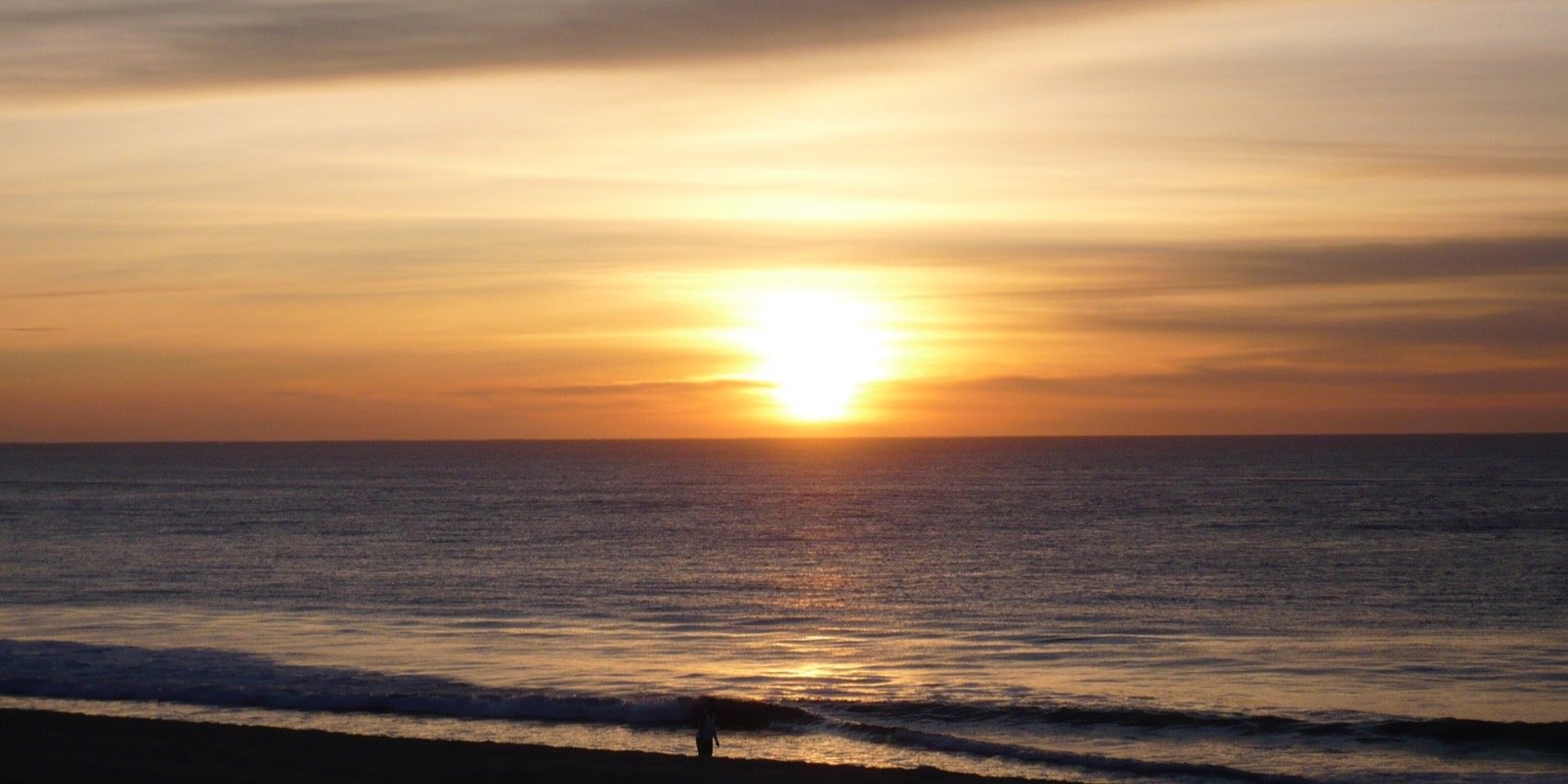 Yadira I. Vega-Cantú banner