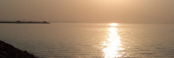 miranda_gray's profile banner image