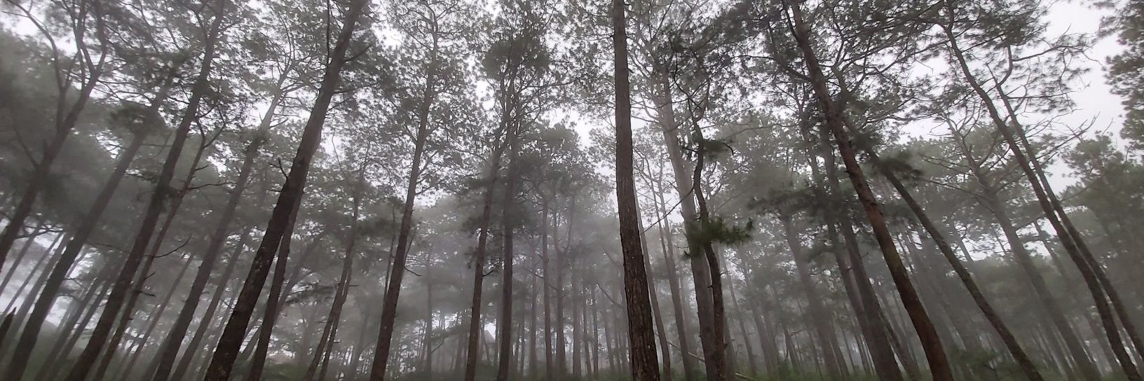 🗺🧭Dənizən of the World 🎲🌏 banner