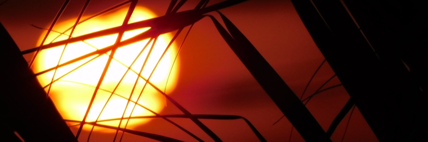 _callmedidi's profile banner image