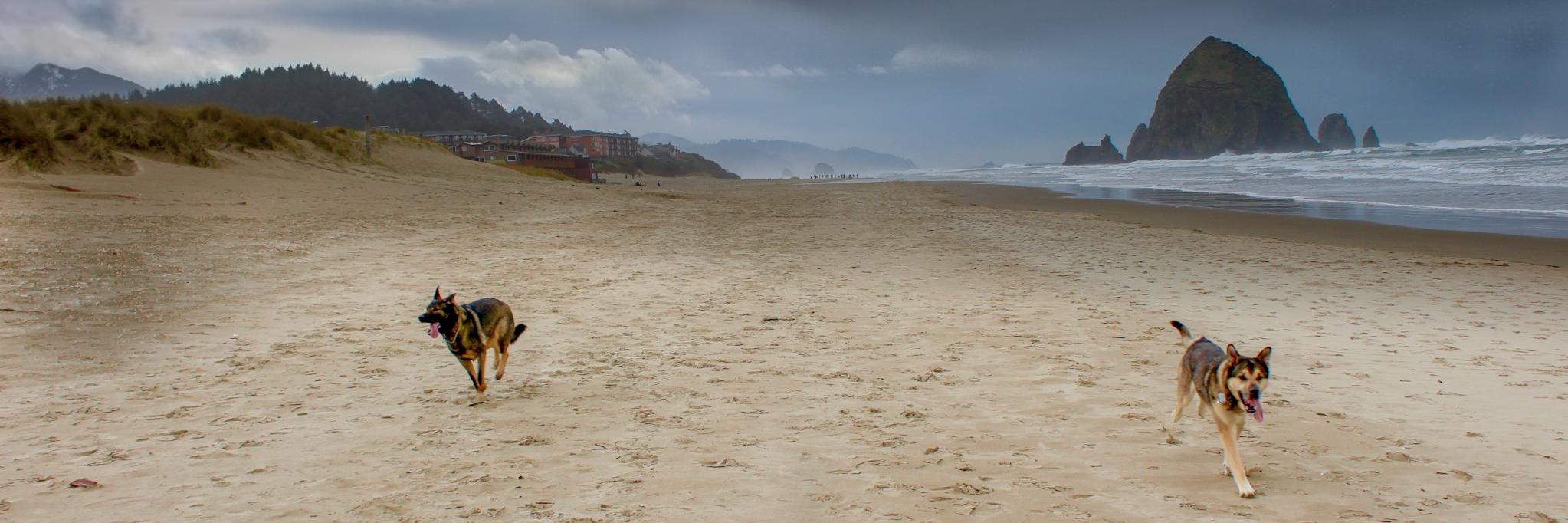Jaypinderpal's profile banner image