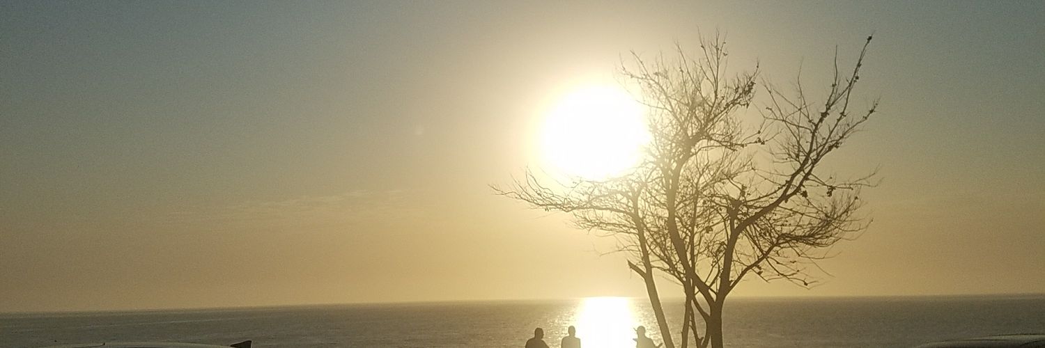 SecretChimera's profile banner image