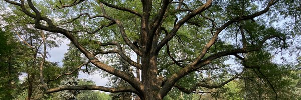 todd_irvine Profile Banner