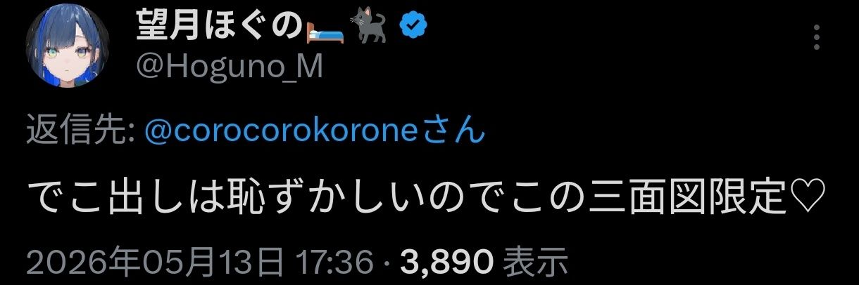 corocorokorone's profile banner image