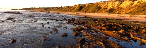 TRCFinancial Profile Banner