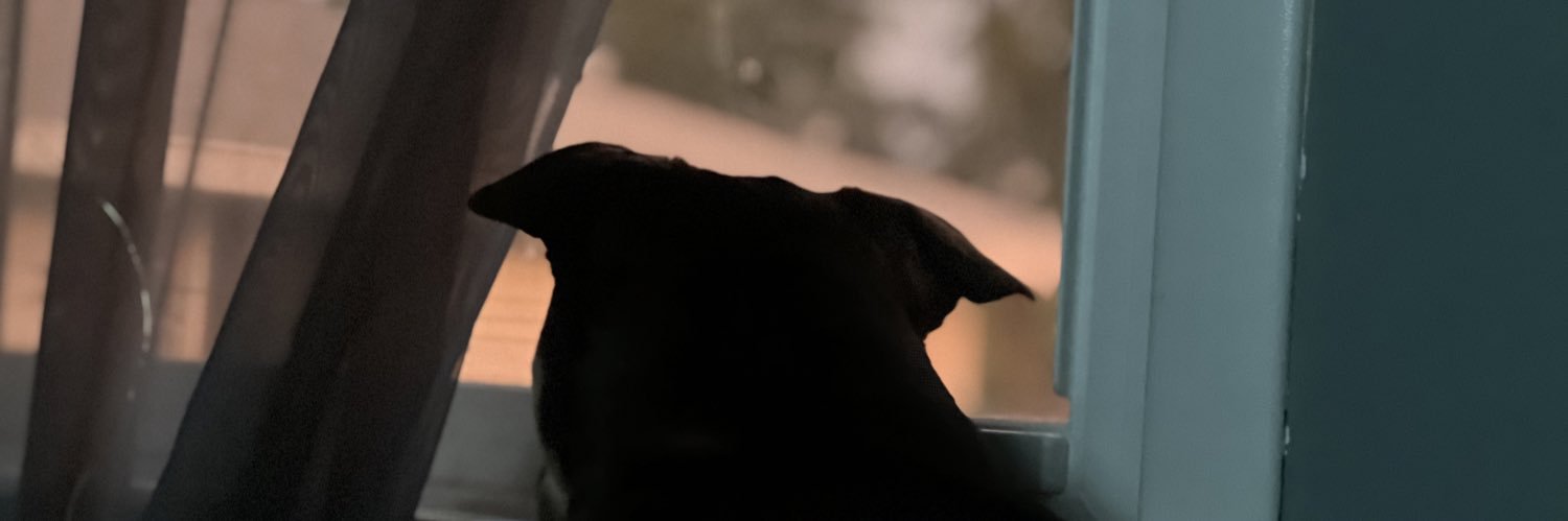 a_lexxaa's profile banner image