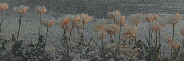 Auth311's profile banner image