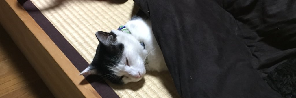 Sagara5275's profile banner image