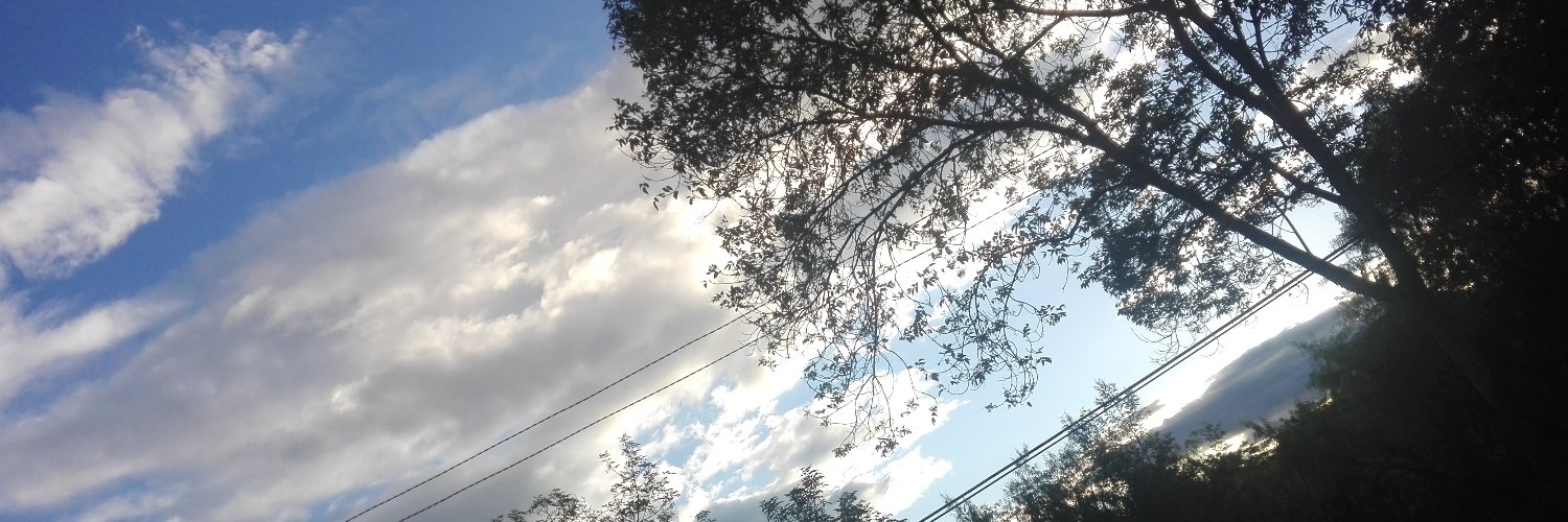 jelore06's profile banner image