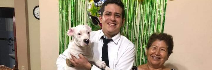GringoBSC's profile banner image