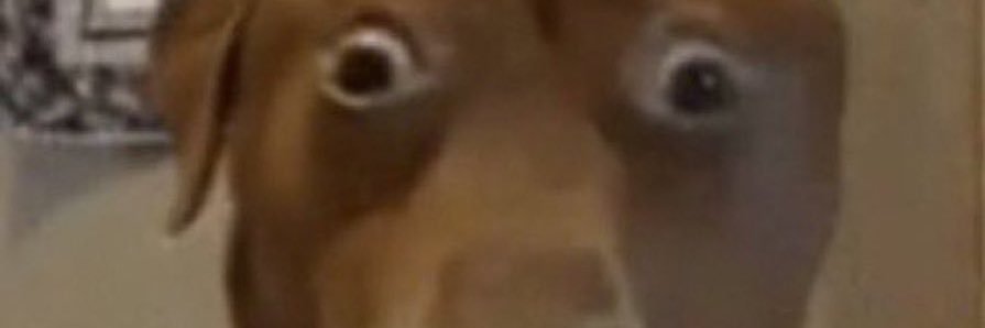 branfoolio's profile banner image
