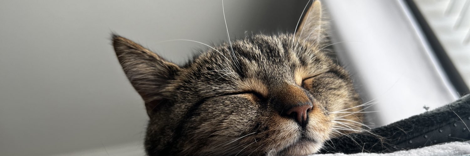 carrthomps's profile banner image