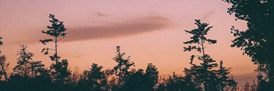Fitatril's profile banner image