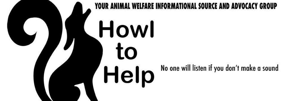 HowlHelp's profile banner image