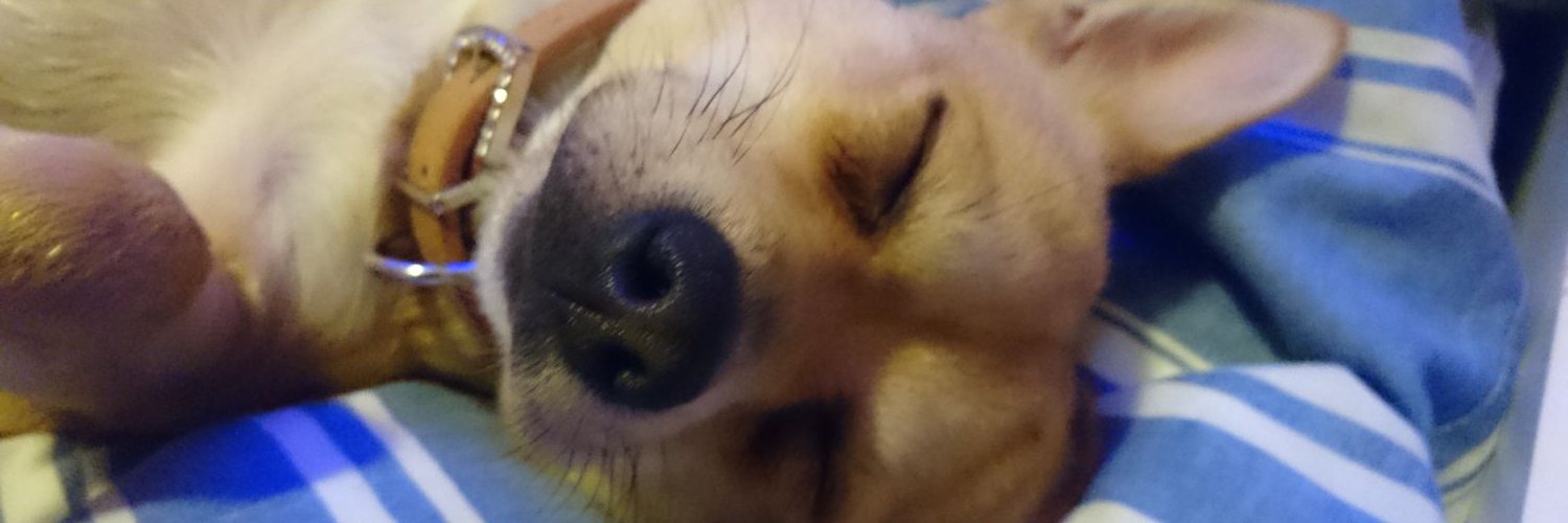 grantsaunders1's profile banner image