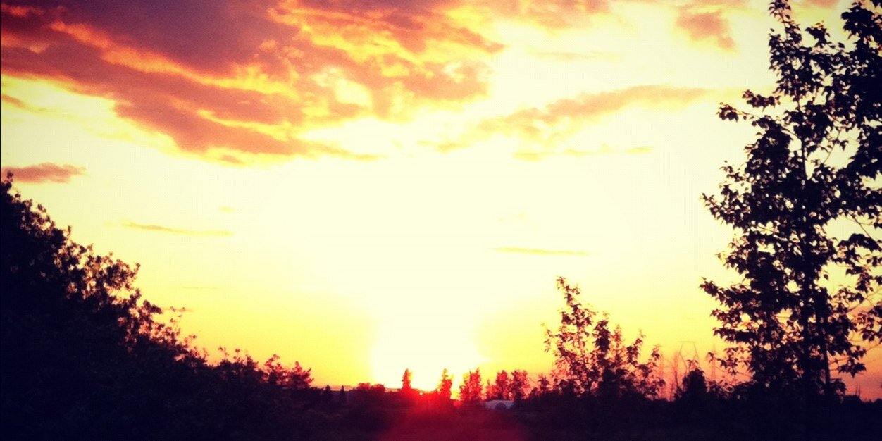 TessaNanton's profile banner image