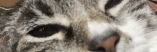 dillbeale's profile banner image