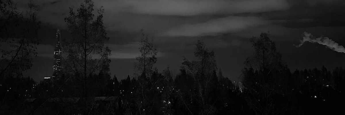 SH11_9's profile banner image